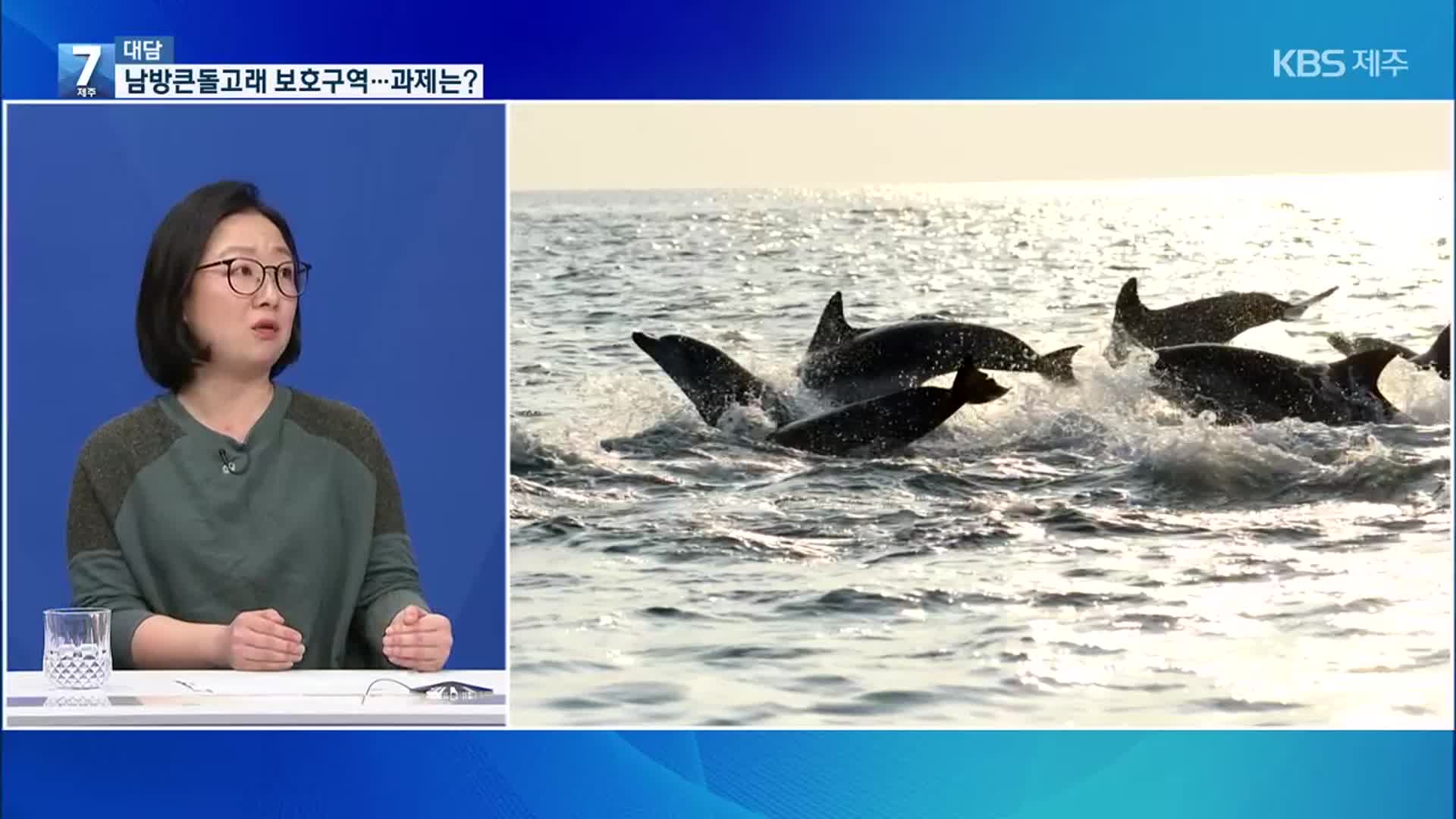 [대담] 남방큰돌고래 첫 전용 해양보호구역 지정…기대와 과제는?