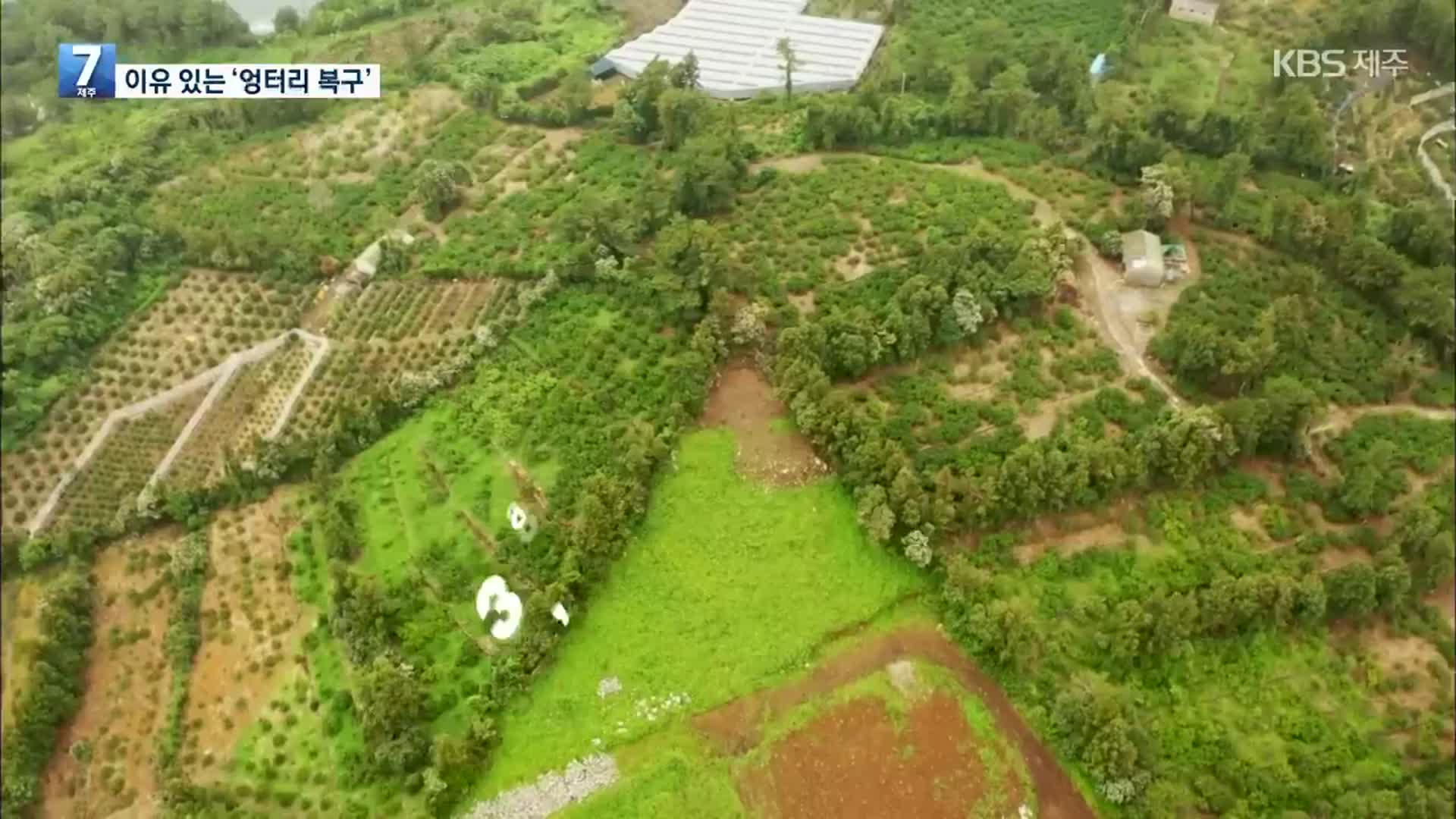 [탐사K] 카페 지으려고 오름 훼손…복구는 엉터리