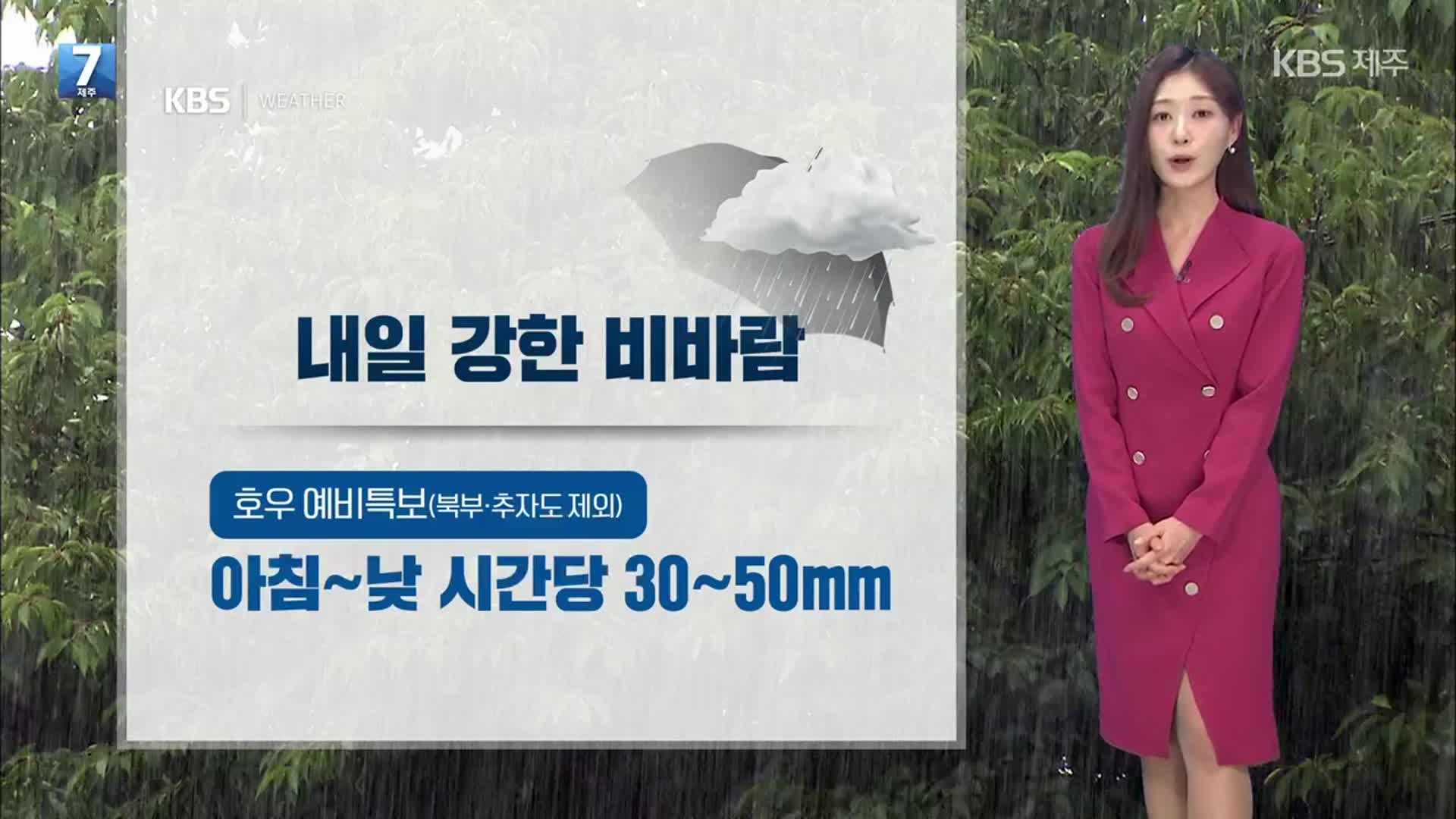 [날씨] 제주 내일 강한 비바람…천둥·번개 동반 최대 200mm↑