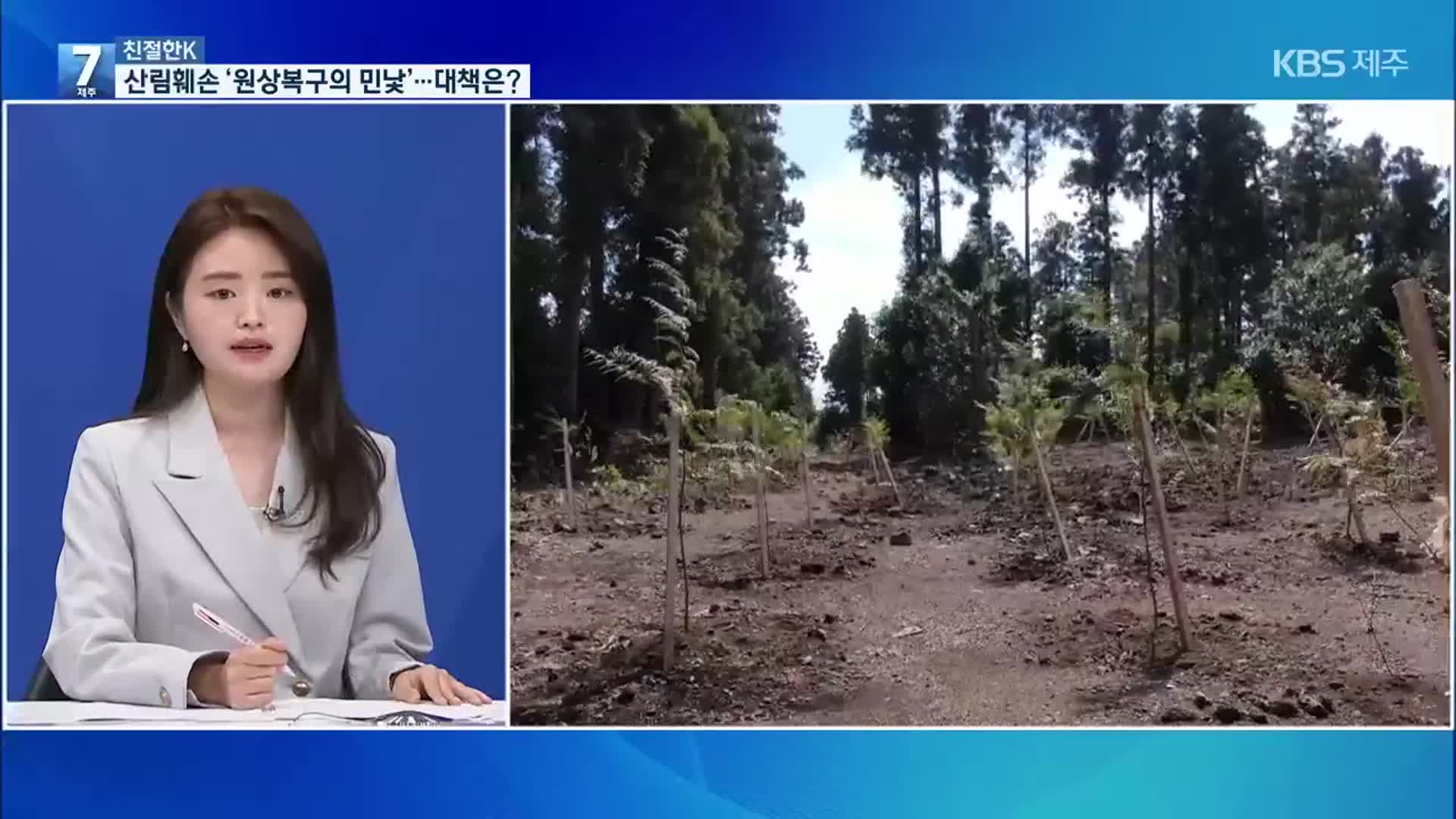 [친절한K] 산림훼손 실태 ‘원상복구의 민낯’…대책은?