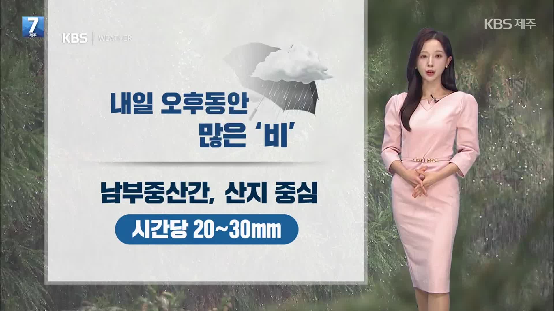 [날씨] 제주 내일 곳곳 많은 비, 시간당 20mm↑…돌풍과 천둥 번개 동반
