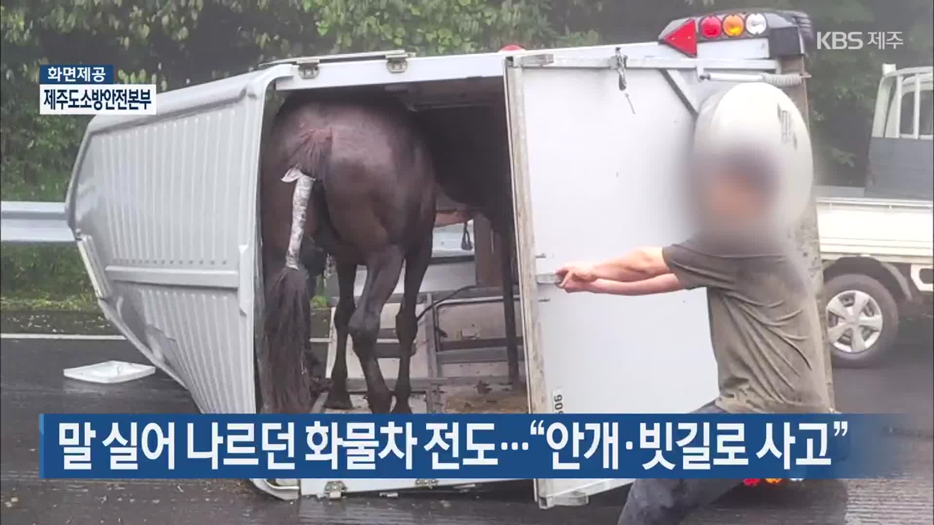 말 실어 나르던 화물차 전도…“안개·빗길로 사고”