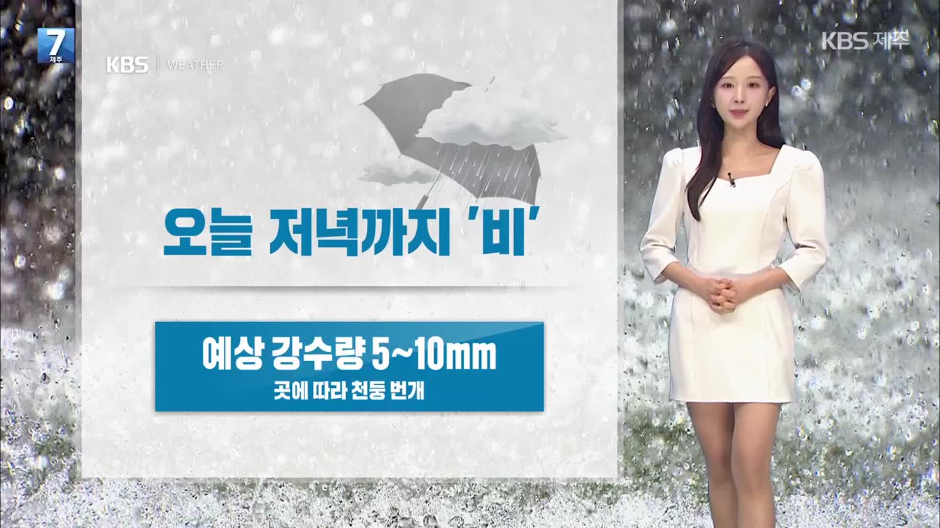 [날씨] 제주 늦은 오후까지 비…내일도 대체로 흐리고 공기는 깨끗