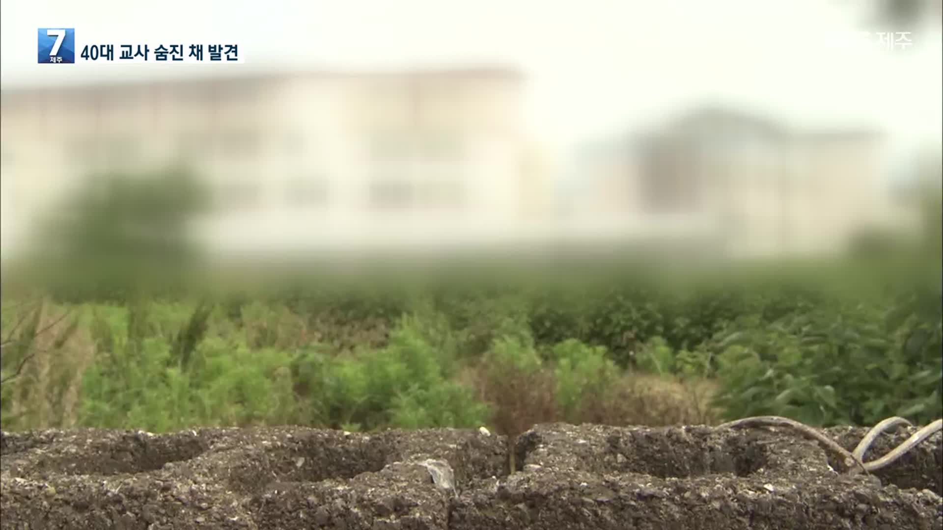제주 40대 중학교 교사 숨진 채 발견…경찰 수사 착수