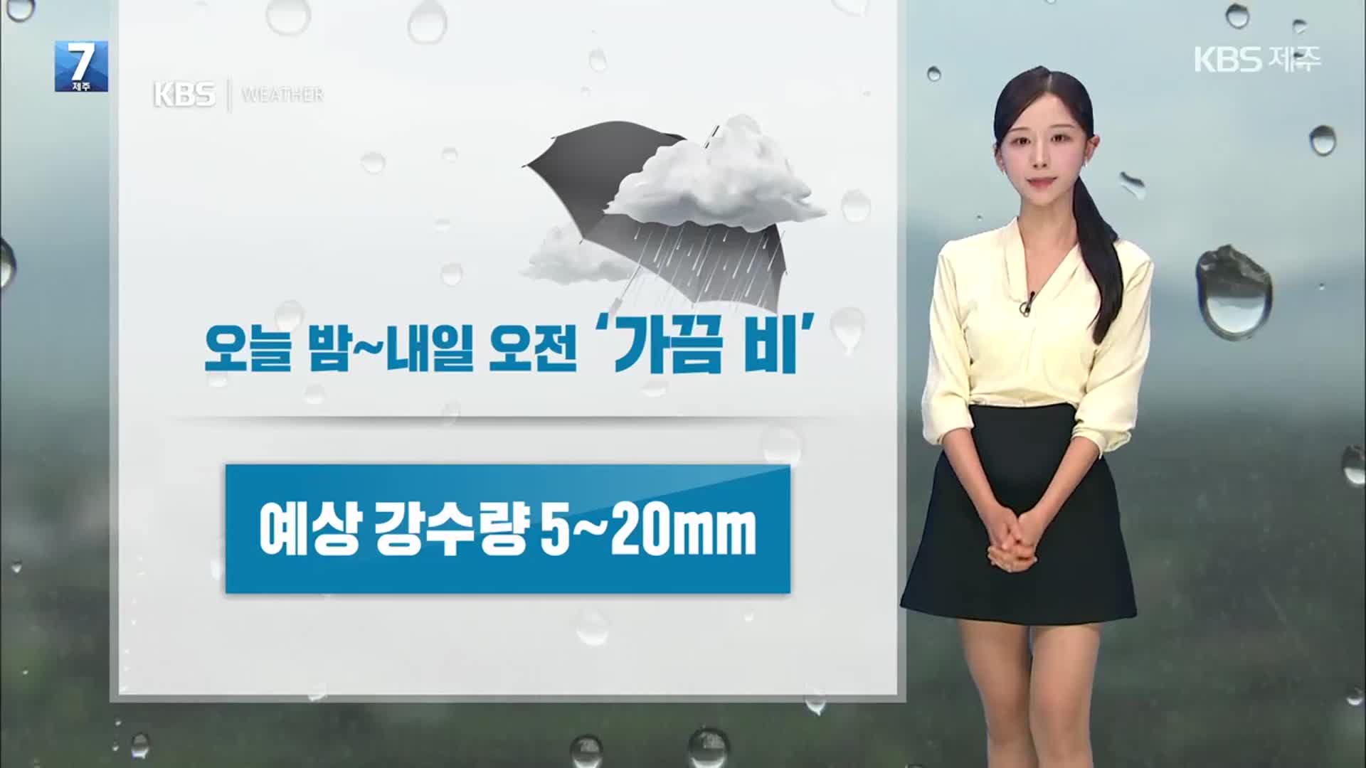 [날씨] 제주 오늘 밤부터 내일 오전 비 소식…바다 안개 주의