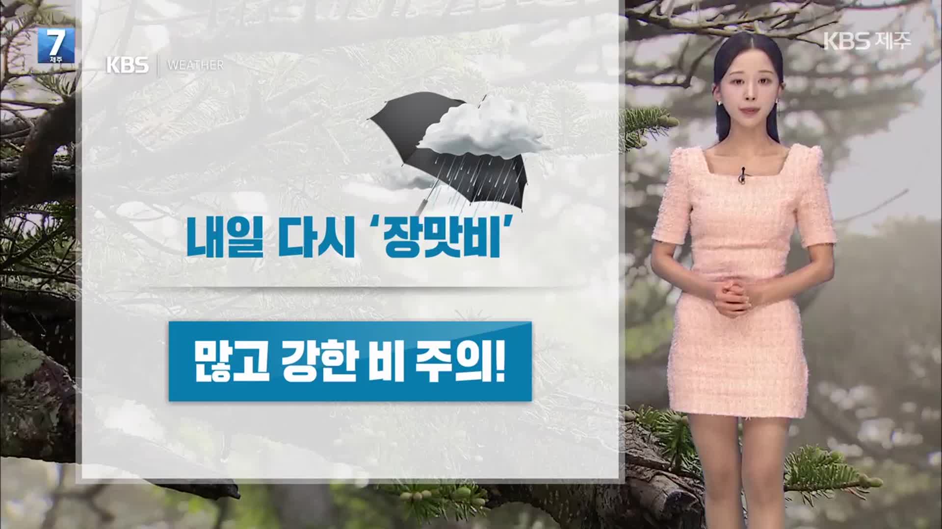 [날씨] 제주 장마 시작, 시간당 30~50mm 강한 비…돌풍·천둥·번개 동반