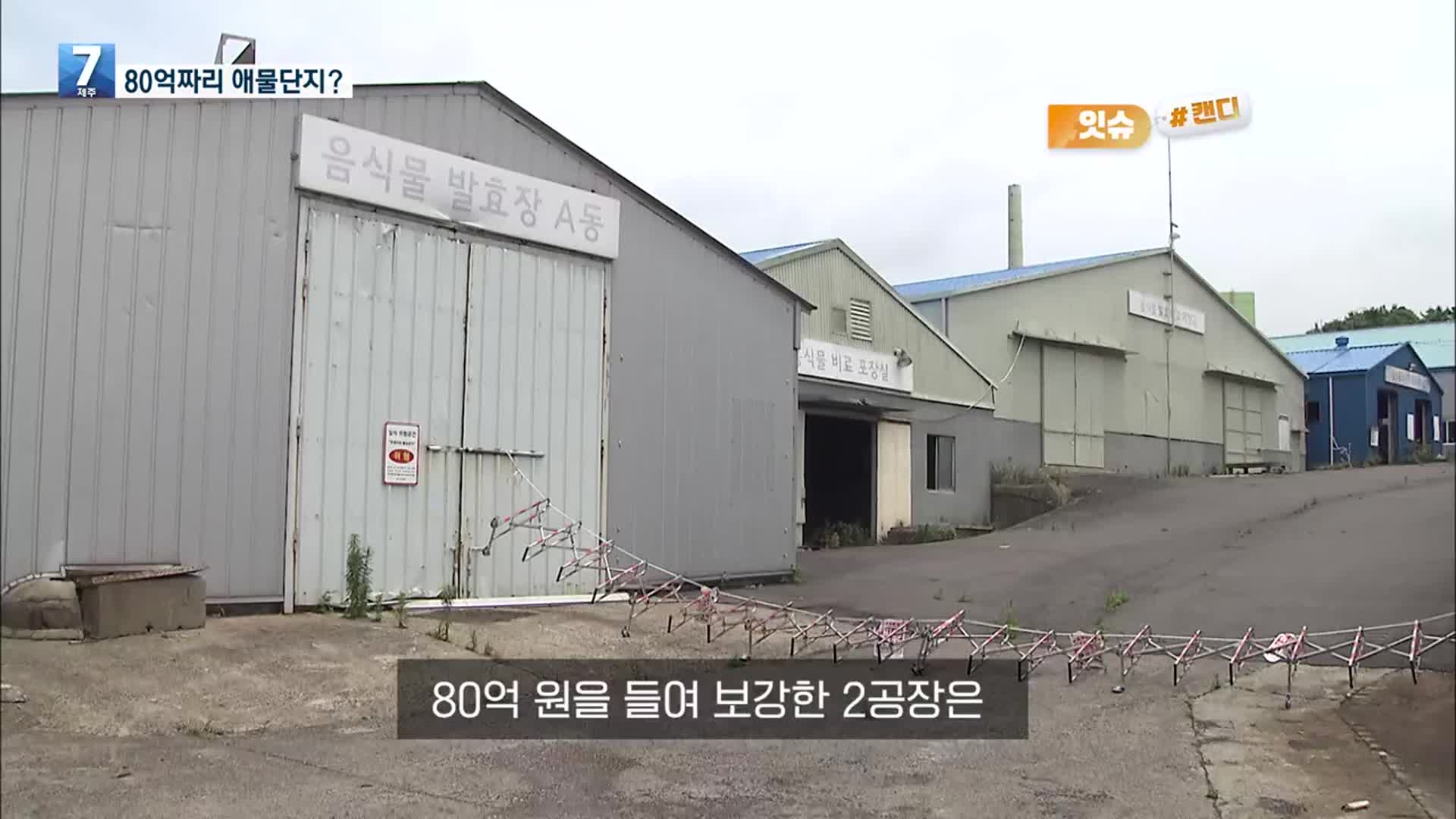 [오늘의 캔디] 80억짜리 애물단지?