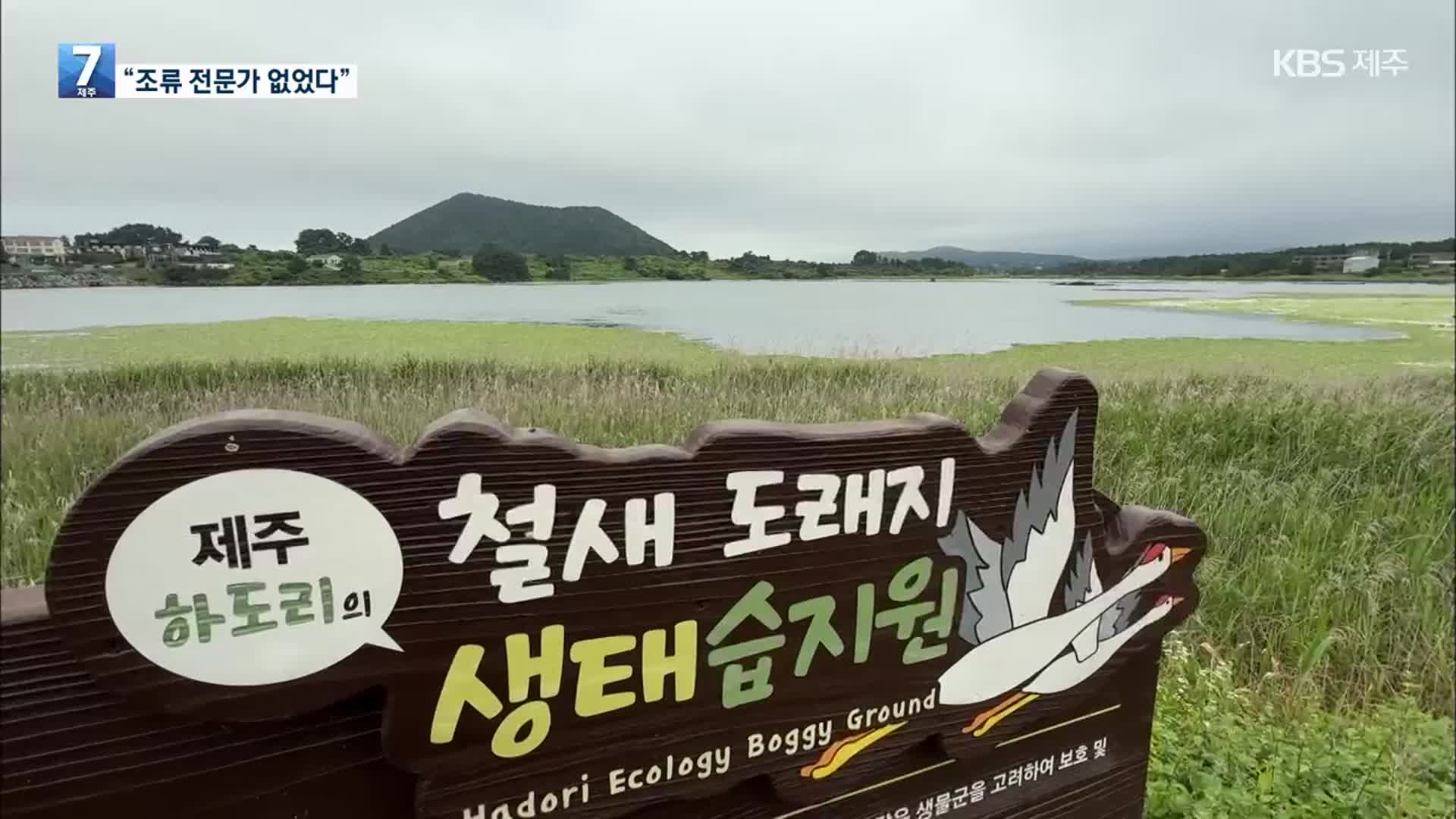 조류 전문가 없는 2공항 환평협의회 심의 ‘괜찮나?’
