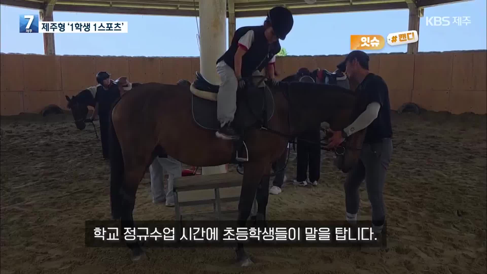 [오늘의 캔디] 제주형 ‘1학생 1스포츠’