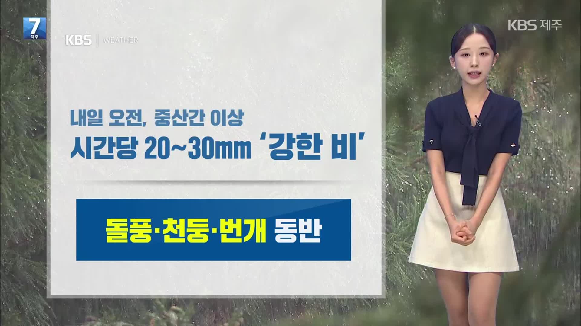 [날씨] ‘입추’, 제주 내일 오전 ‘강한 비’…강풍·풍랑 주의