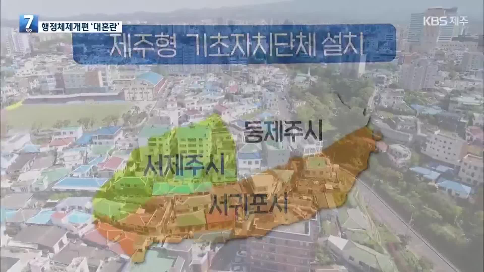 “의회가 여론조사 하겠다”…행정체제개편 막판 대혼란
