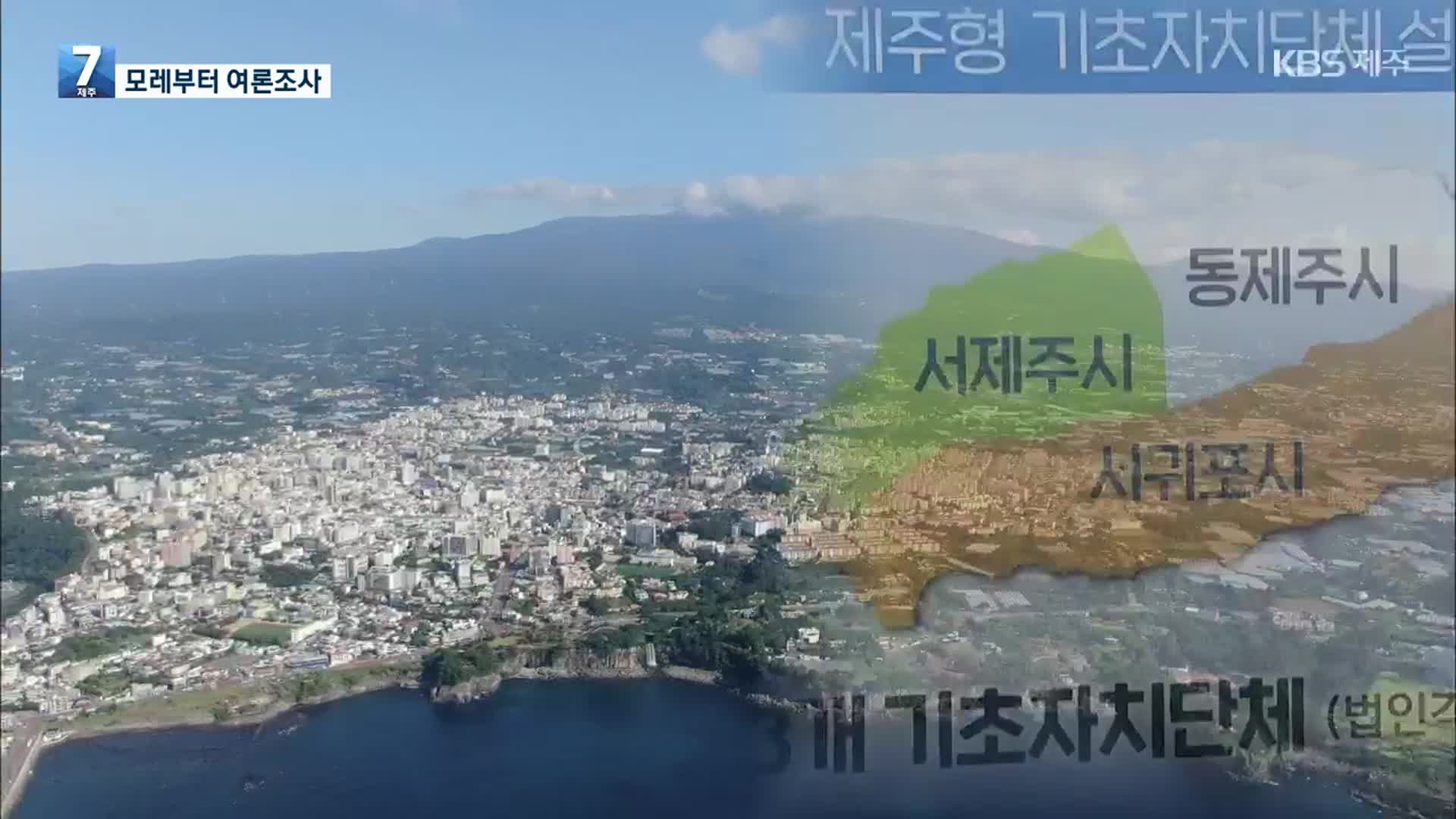 행정체제개편 여론조사 21일부터…“도입 시기도 물을 것”