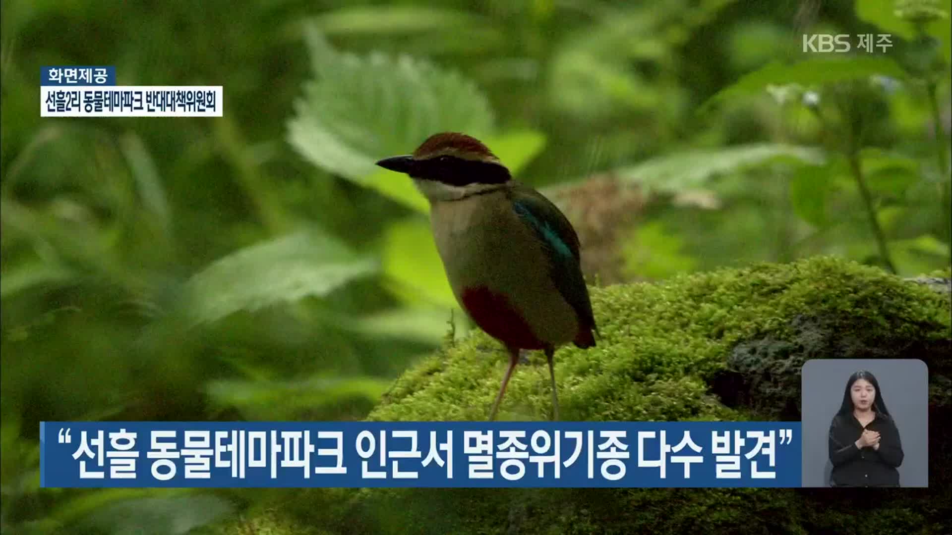 “선흘 동물테마파크 인근서 멸종위기종 다수 발견”