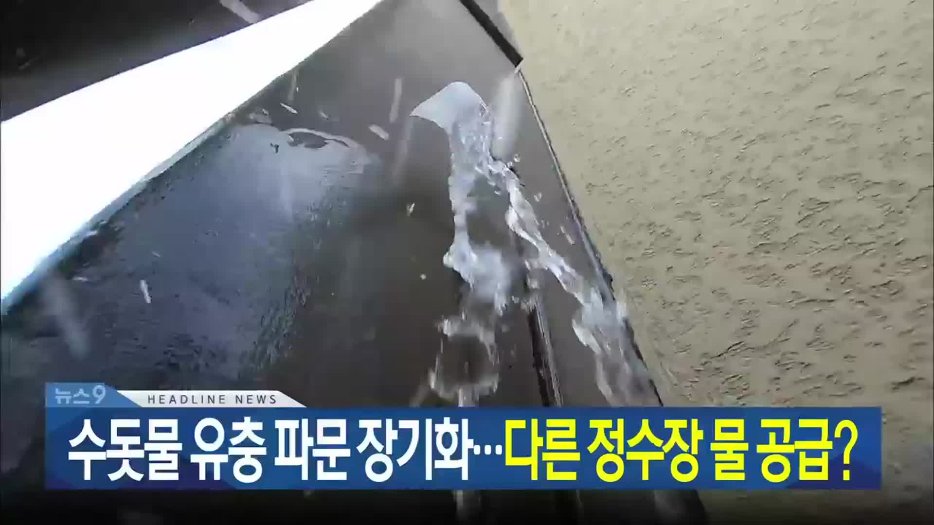 [뉴스9 제주 헤드라인]