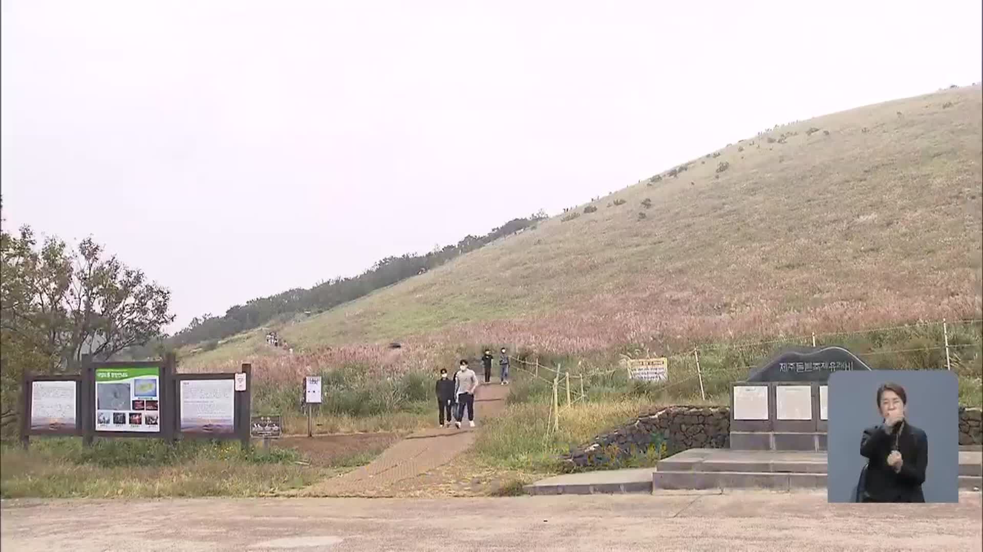‘탐방객 급증’ 새별·용눈이 오름 휴식년제 검토