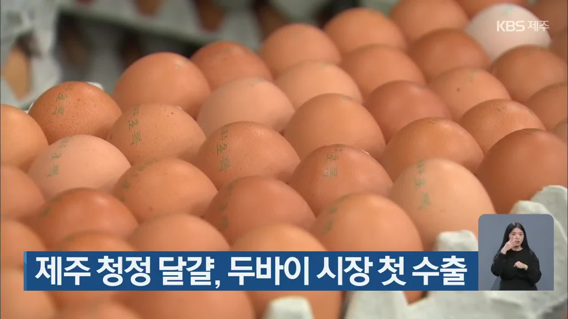 제주 청정 달걀, 두바이 시장 첫 수출