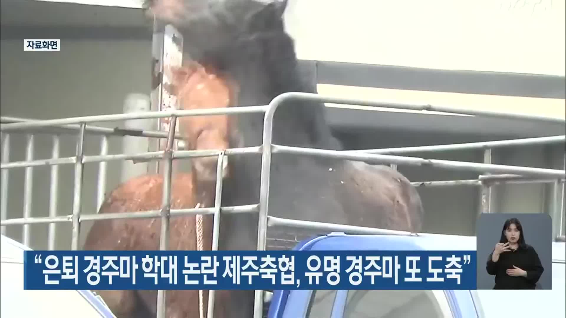 “은퇴 경주마 학대 논란 제주축협, 유명 경주마 또 도축”