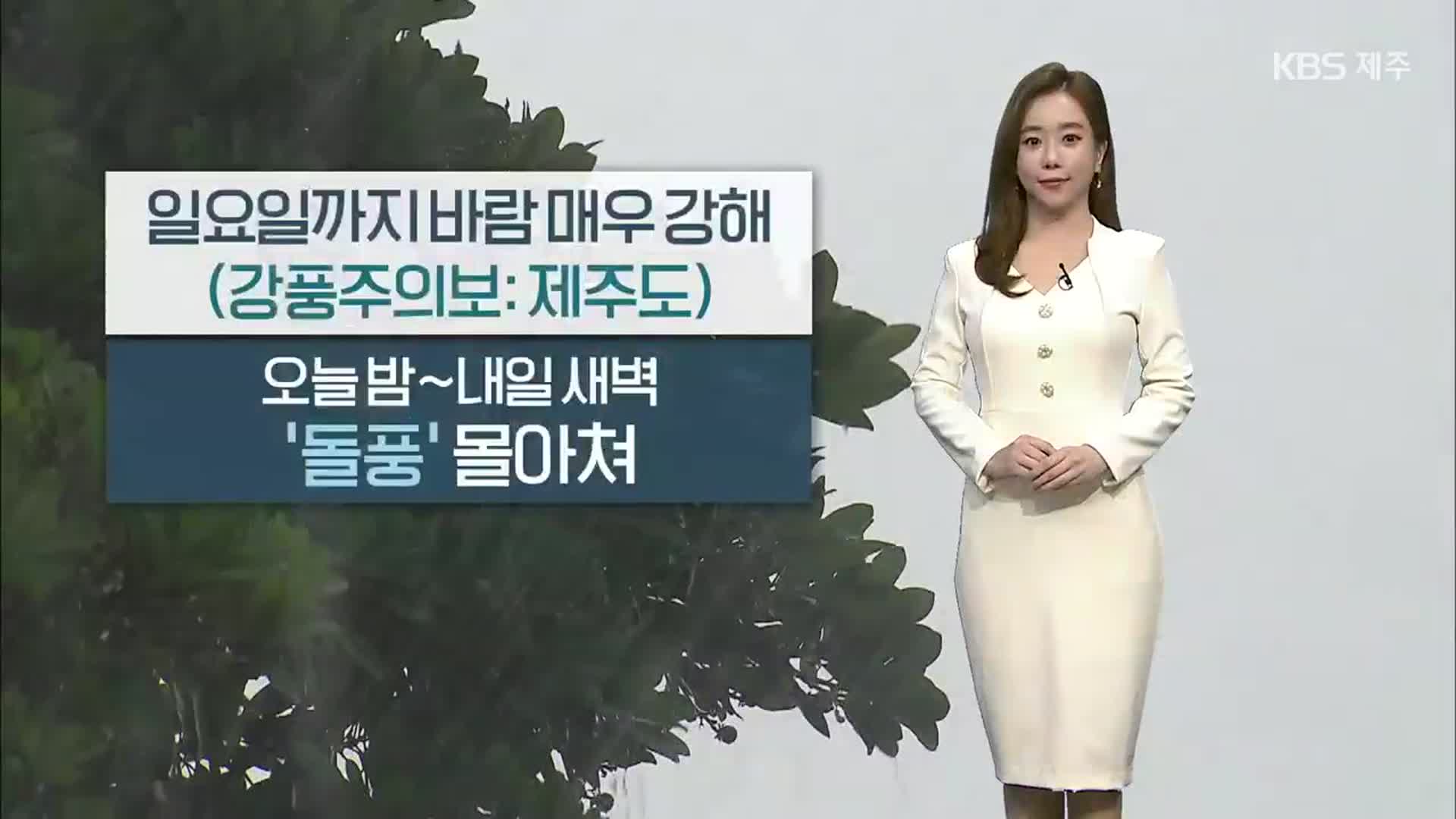 [날씨] 제주, 강풍주의보…오늘 밤~내일 새벽 ‘돌풍’ 몰아쳐