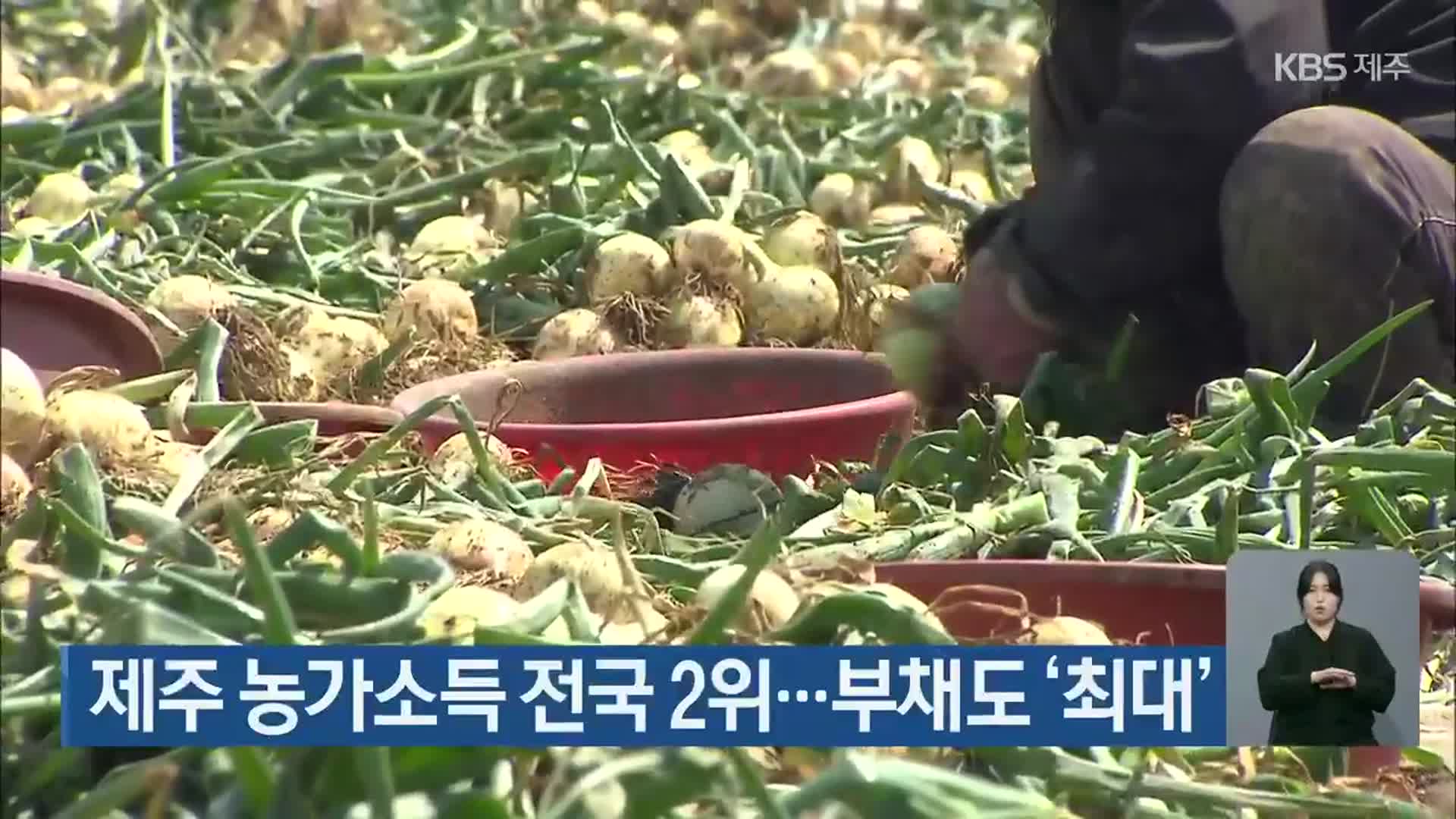 제주 농가소득 전국 2위…부채도 ‘최대’