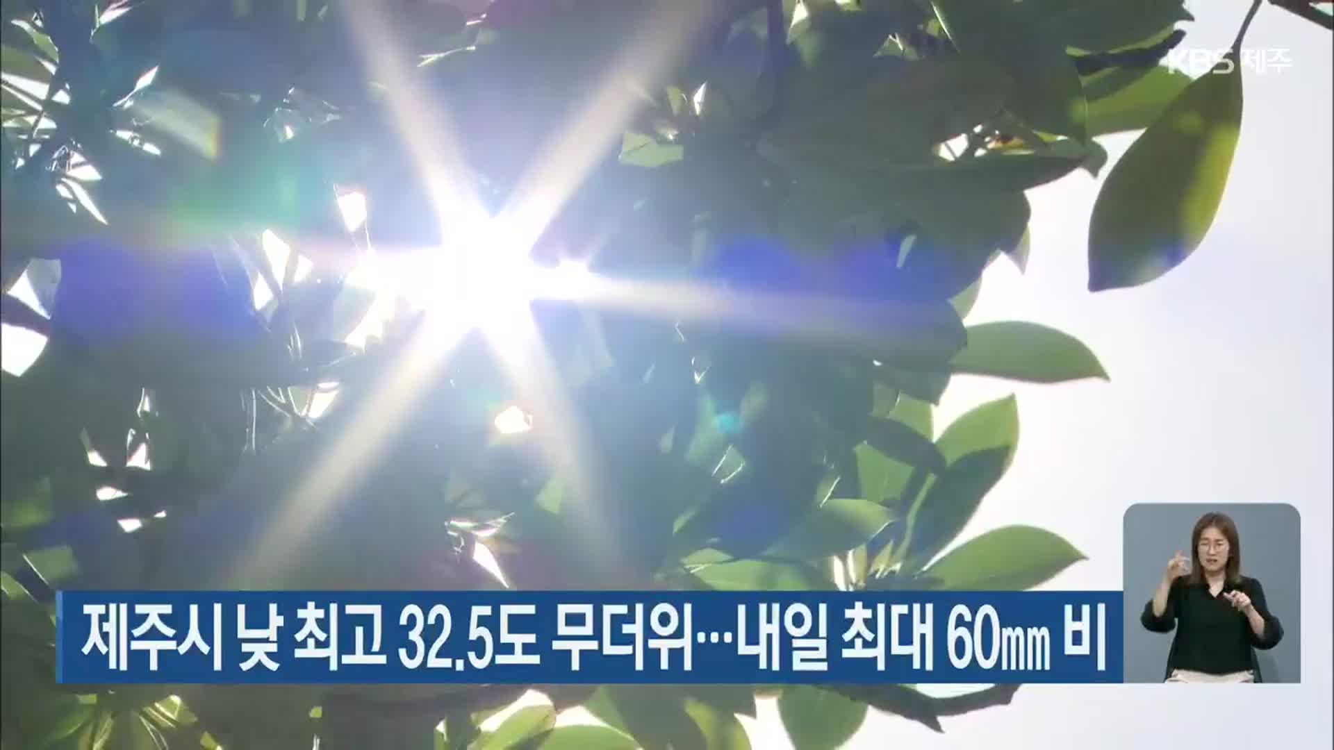 제주시 낮 최고 32.5도 무더위…내일 최대 60㎜ 비