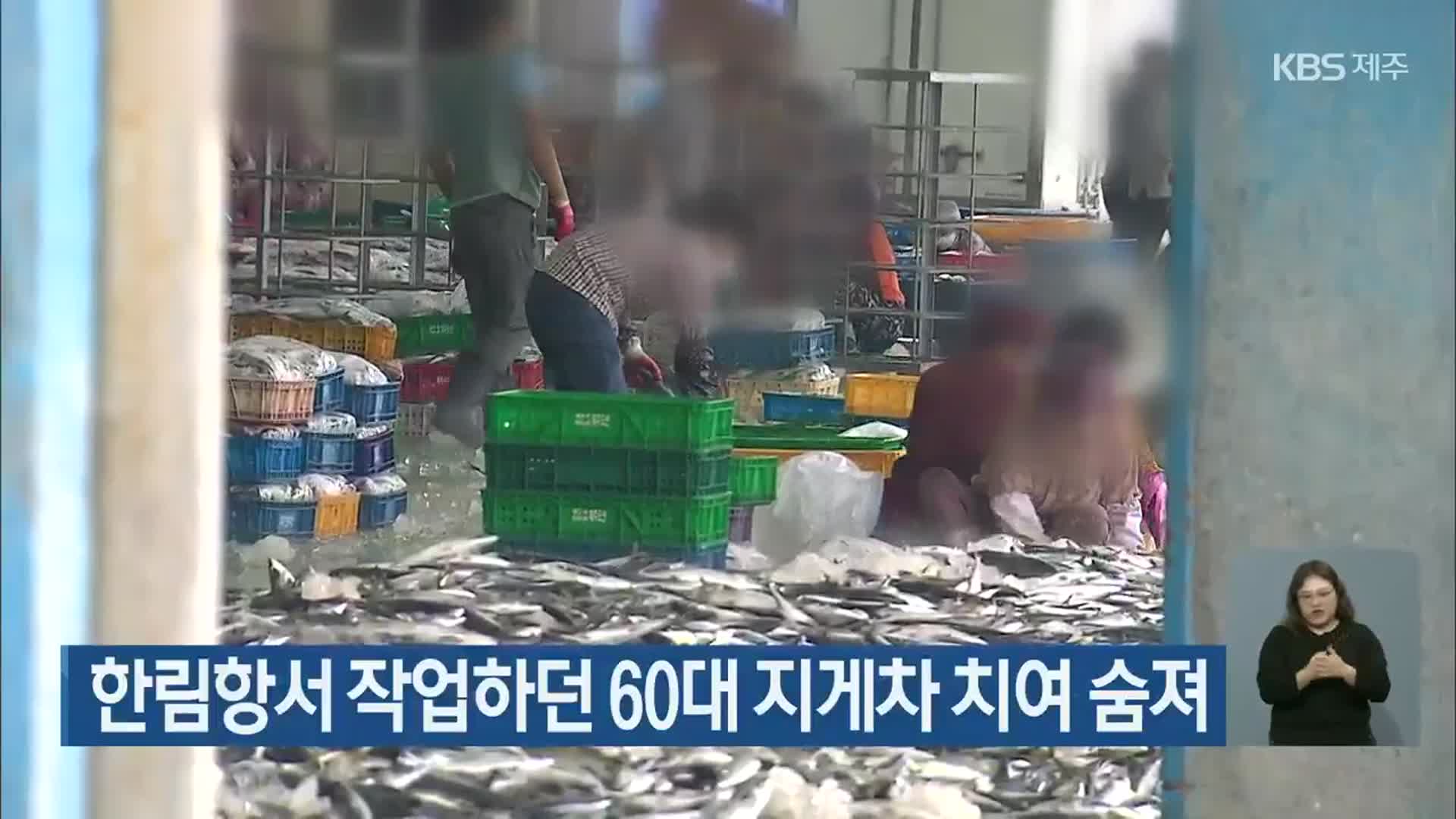 한림항서 작업하던 60대 지게차 치여 숨져