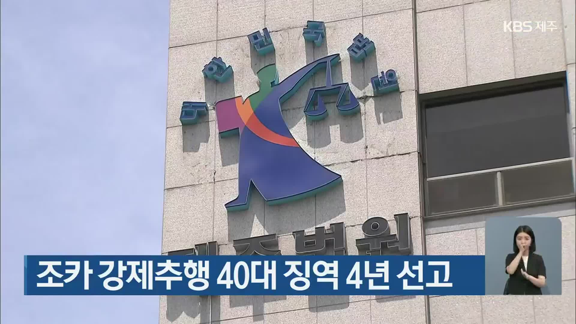 조카 강제추행 40대 징역 4년 선고