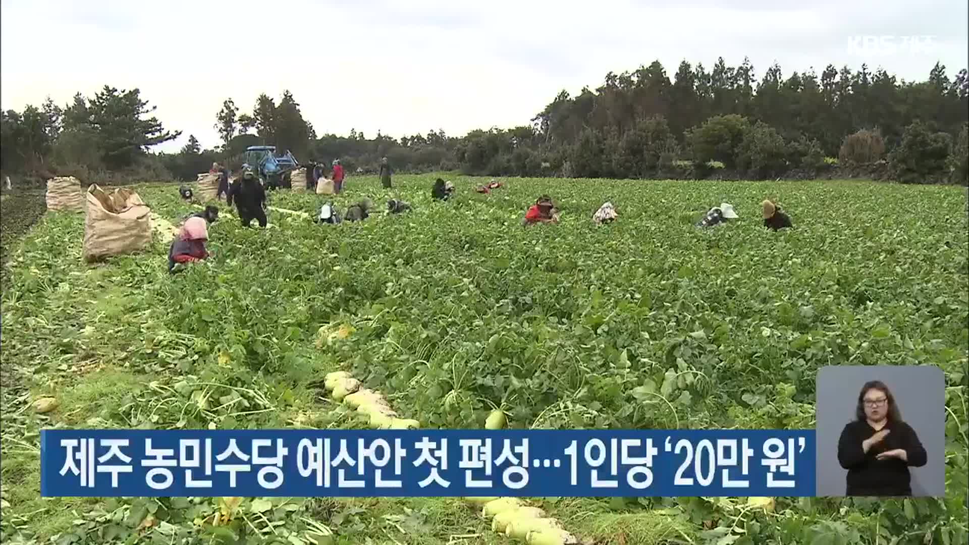 제주 농민수당 예산안 첫 편성…1인당 ‘20만 원’