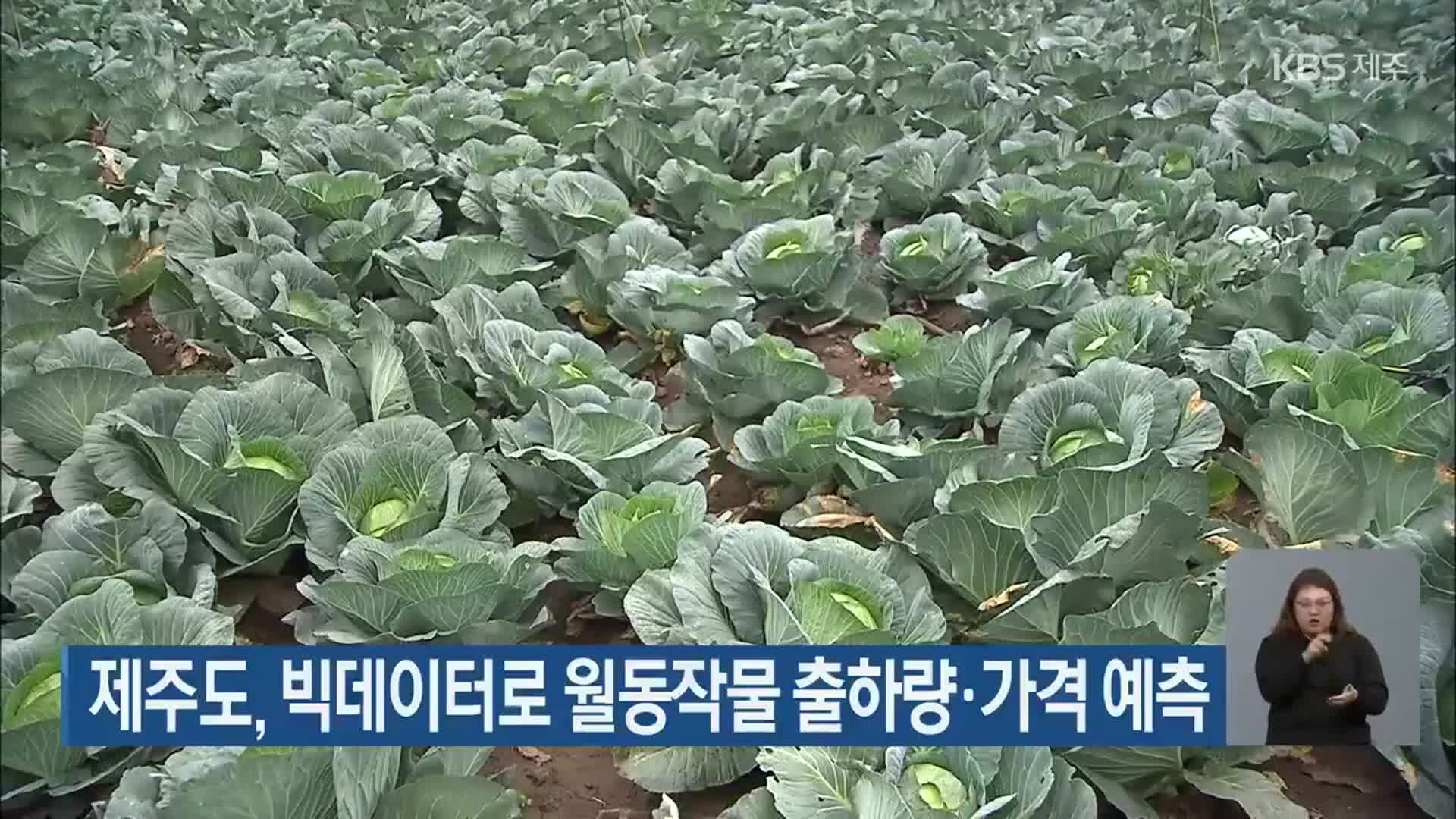 제주도, 빅데이터로 월동작물 출하량·가격 예측