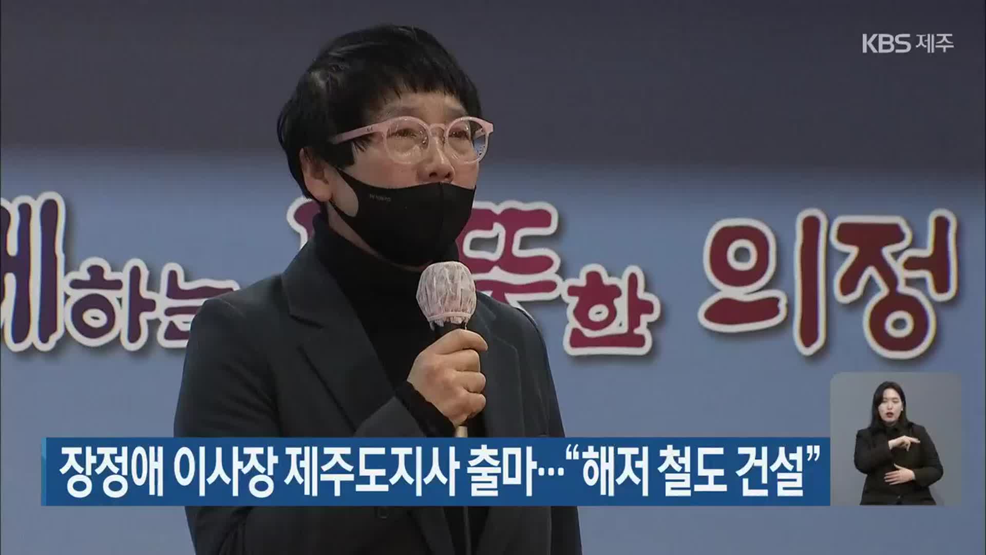 장정애 이사장 제주도지사 출마…“해저 철도 건설”