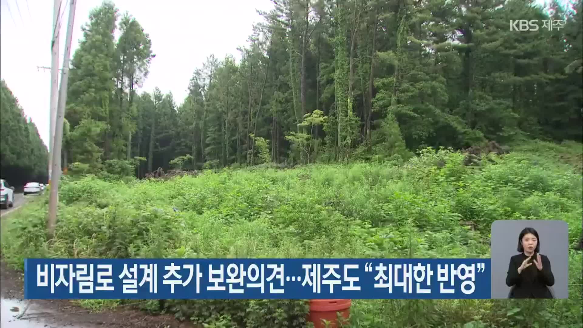 비자림로 설계 추가 보완의견…제주도 “최대한 반영”