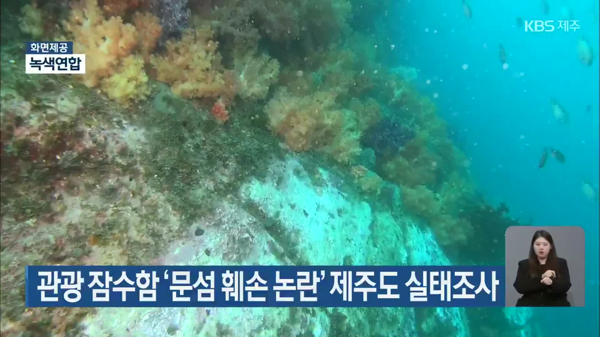 관광 잠수함 ‘문섬 훼손 논란’ 제주도 실태조사