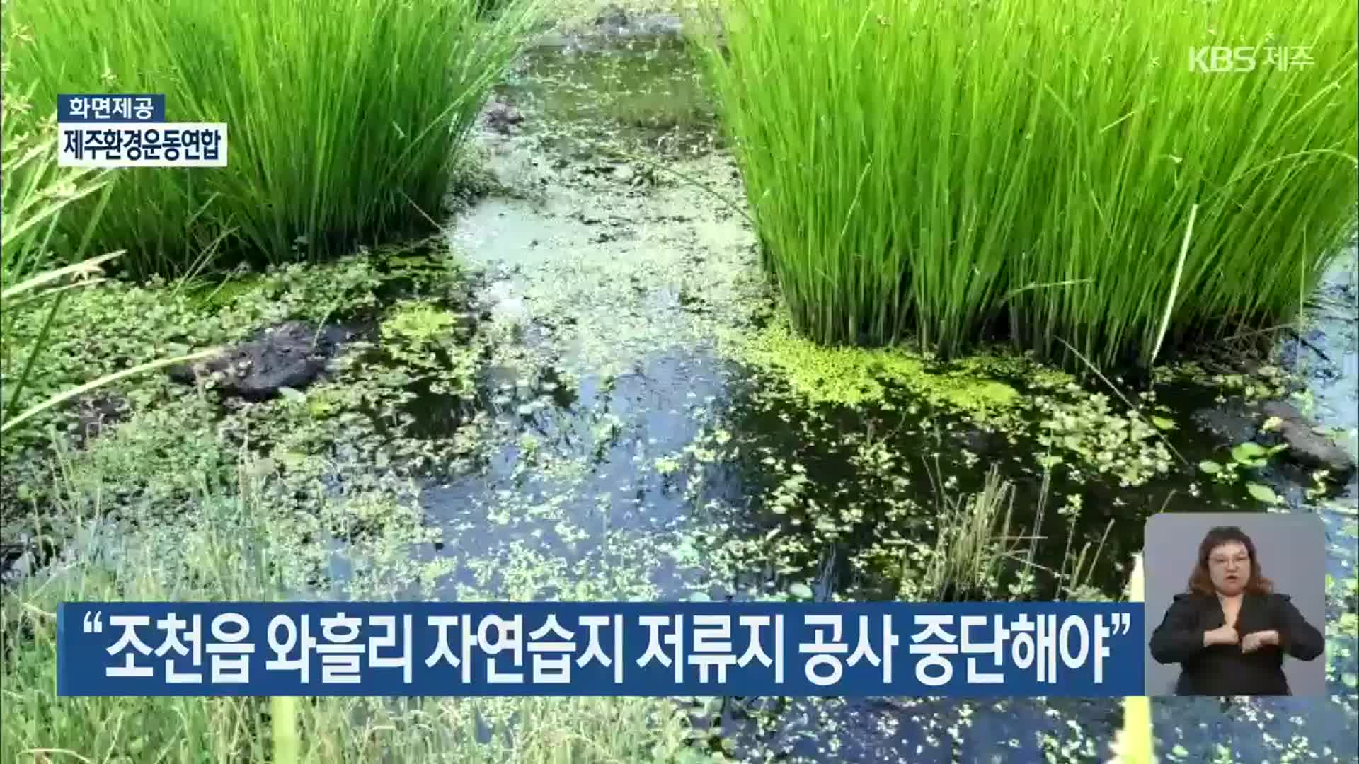 “조천읍 와흘리 자연습지 저류지 공사 중단해야”