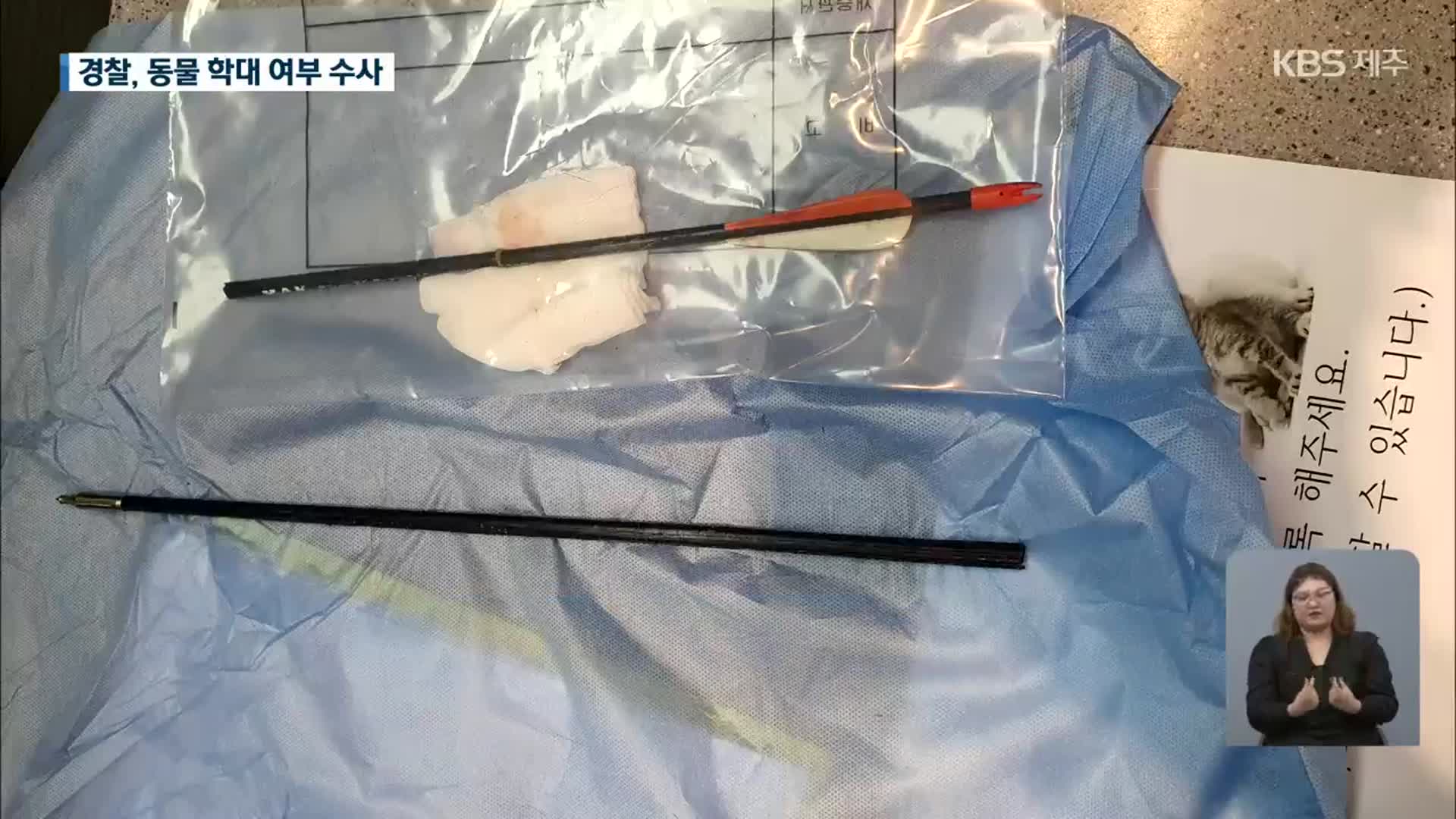 몸통에 화살 관통된 개 발견…“겨냥했나” 수사