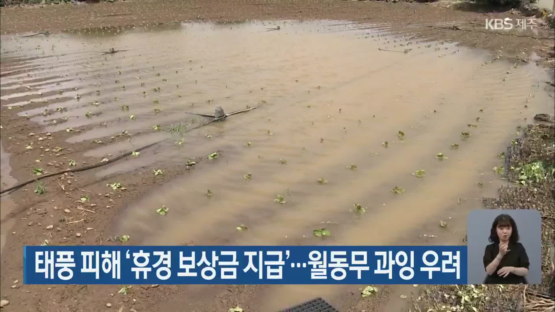 태풍 피해 ‘휴경 보상금 지급’…월동무 과잉 우려