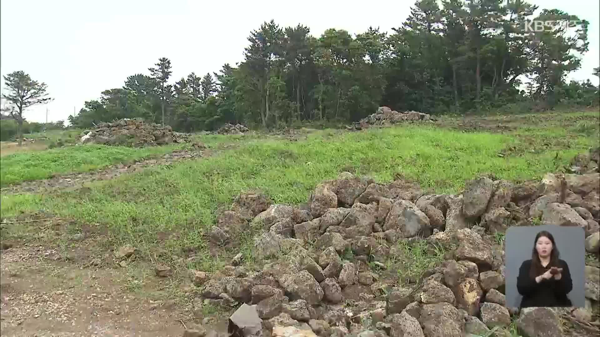 3년 새 ‘마라도 3배 면적’ 제주 초지 사라졌다