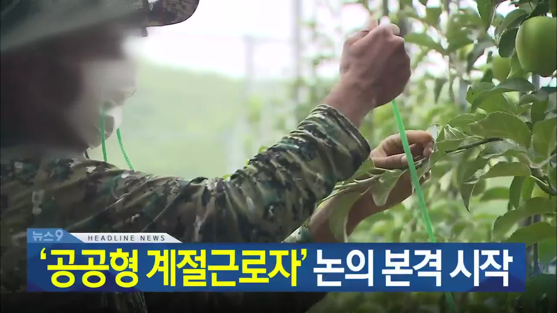 [뉴스9 제주 헤드라인]