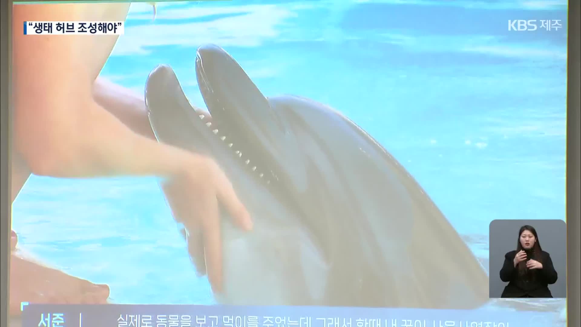 ‘멸종위기’ 남방큰돌고래 ‘생태 허브’ 논의 첫발