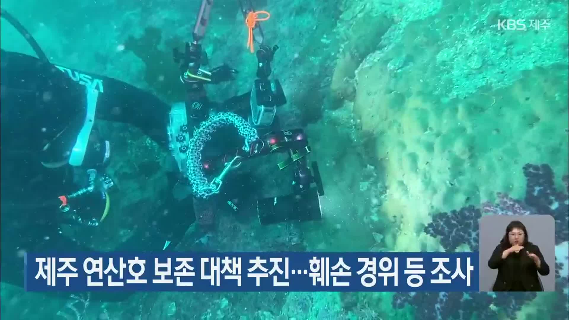 제주 연산호 보존 대책 추진…훼손 경위 등 조사