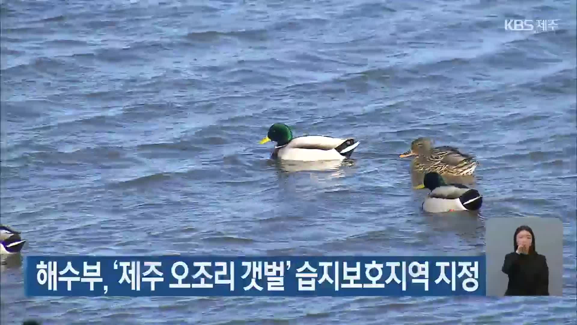 해수부, ‘제주 오조리 갯벌’ 습지보호지역 지정