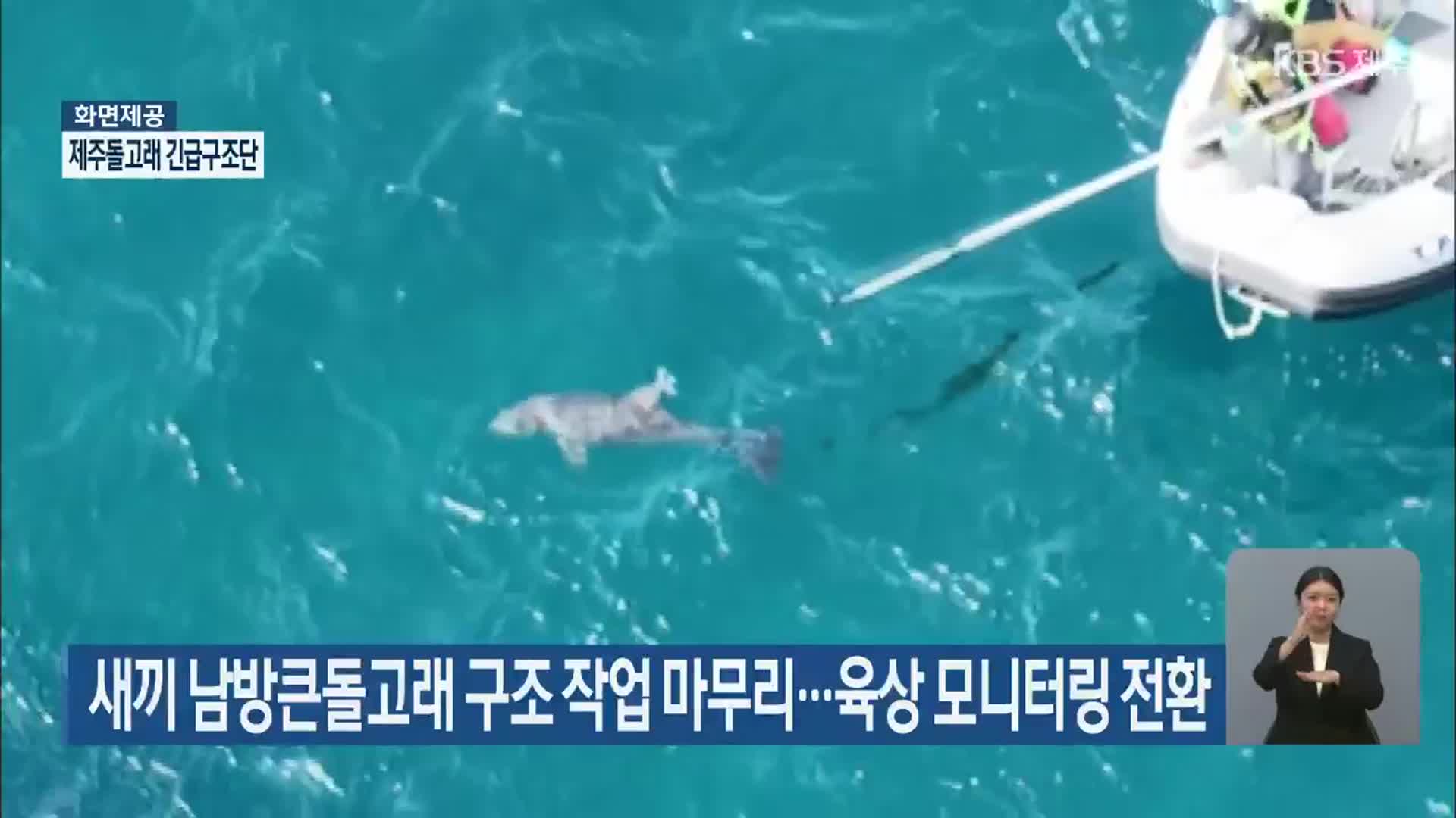 새끼 남방큰돌고래 구조 작업 마무리…육상 모니터링 전환