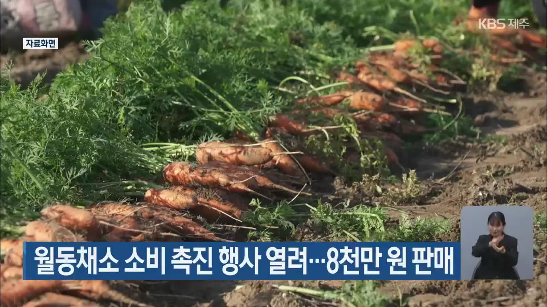 월동채소 소비 촉진 행사 열려…8천만 원 판매