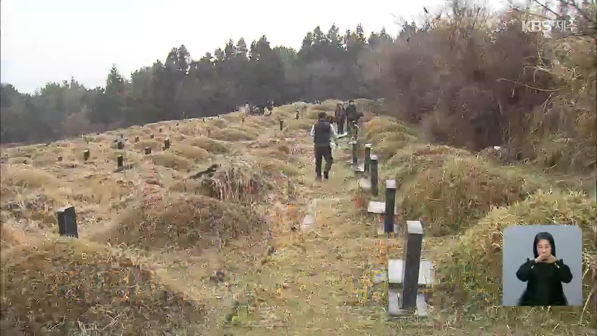 따뜻한 정 나누는 설날…성묘객·나들이객 ‘북적’