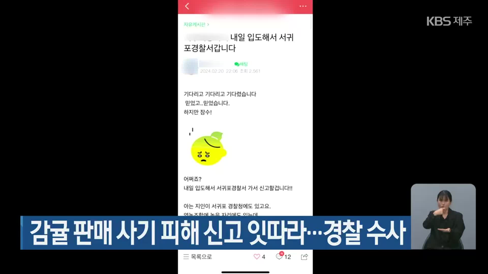 감귤 판매 사기 피해 신고 잇따라…경찰 수사