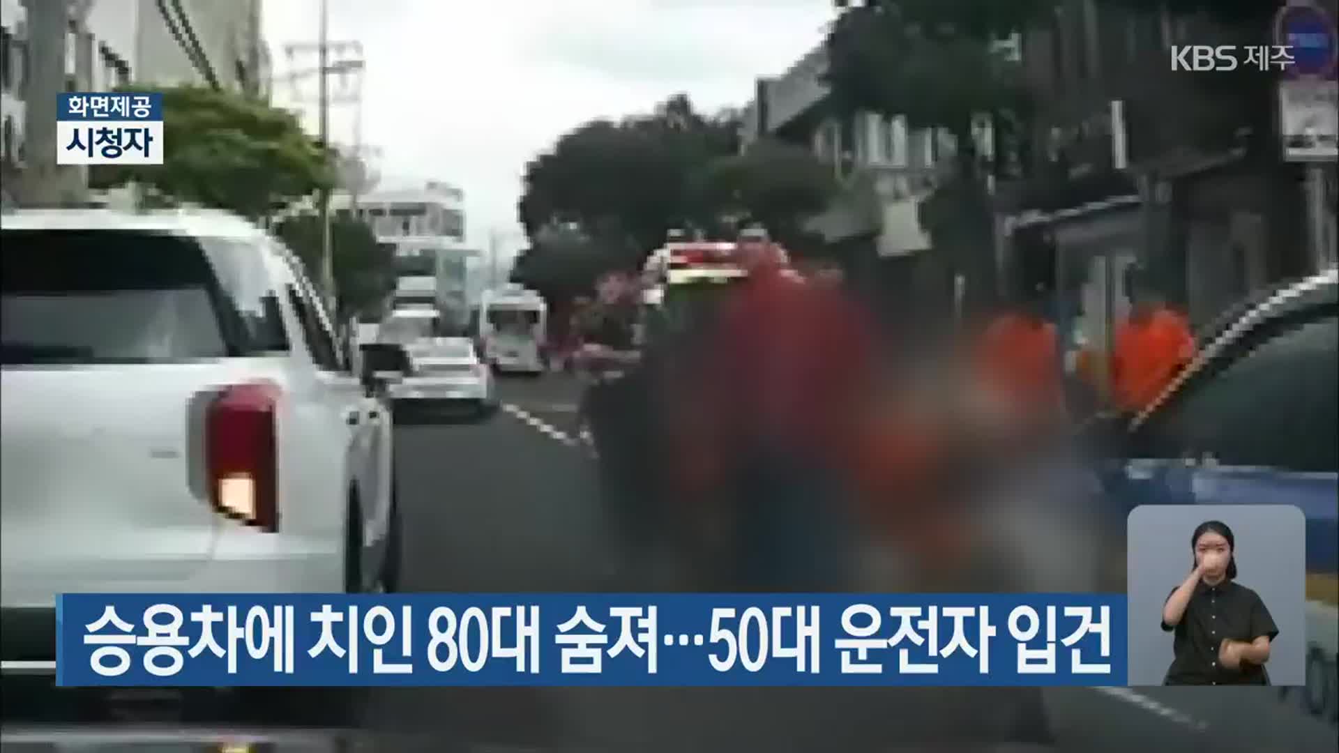 승용차에 치인 80대 숨져…50대 운전자 입건