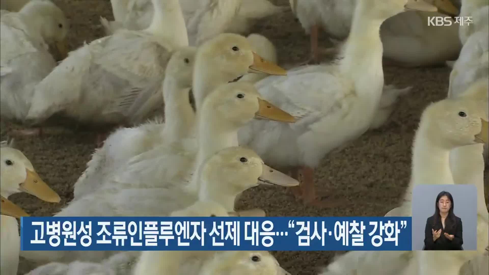 고병원성 조류인플루엔자 선제 대응…“검사·예찰 강화”