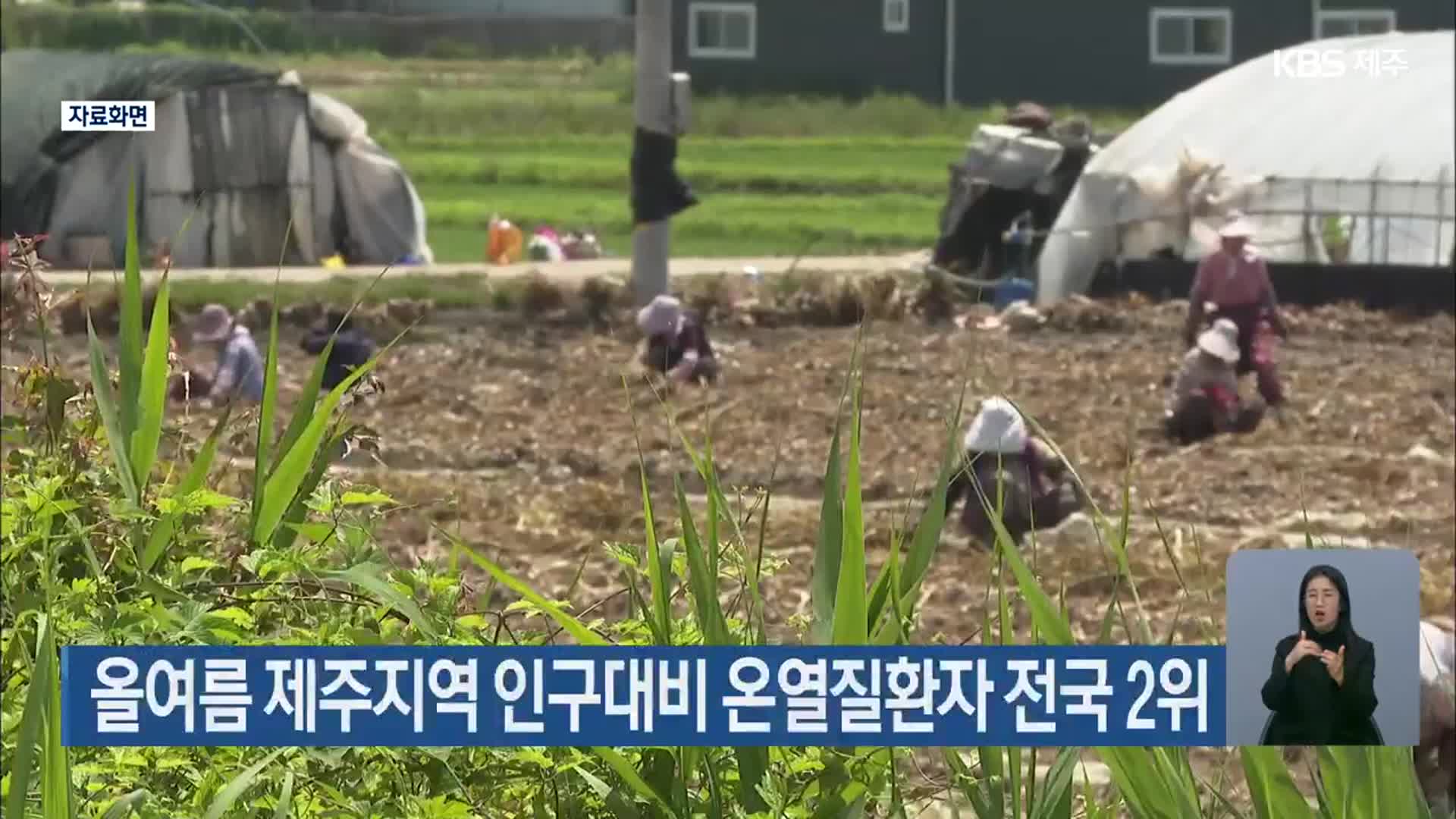 올여름 제주지역 인구대비 온열질환자 전국 2위