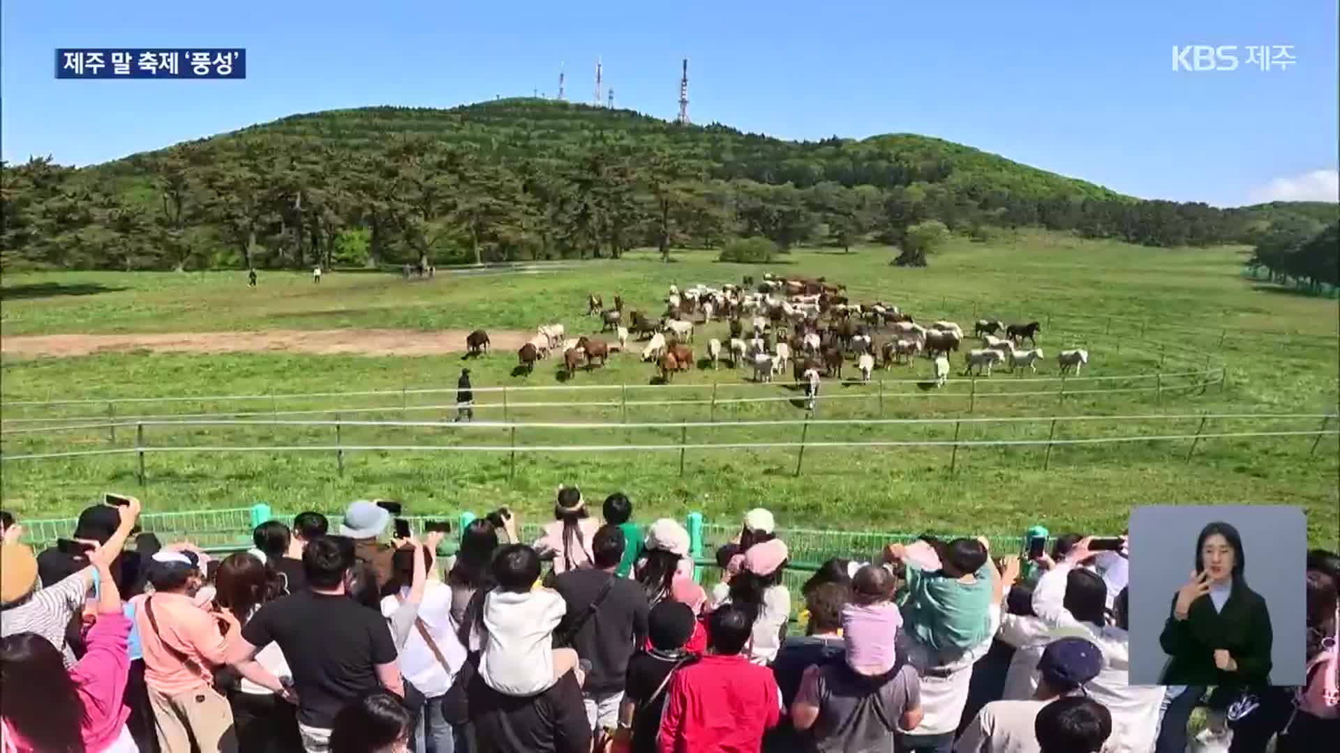 ‘천고마비의 계절’ 가을…“제주 말 문화 알려요”