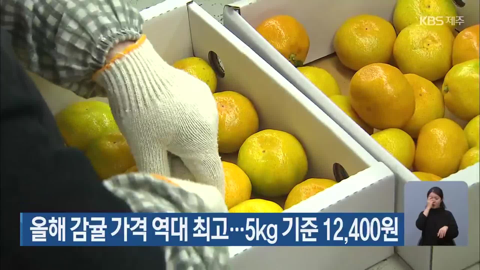 올해 감귤 가격 역대 최고…5kg 기준 12,400원