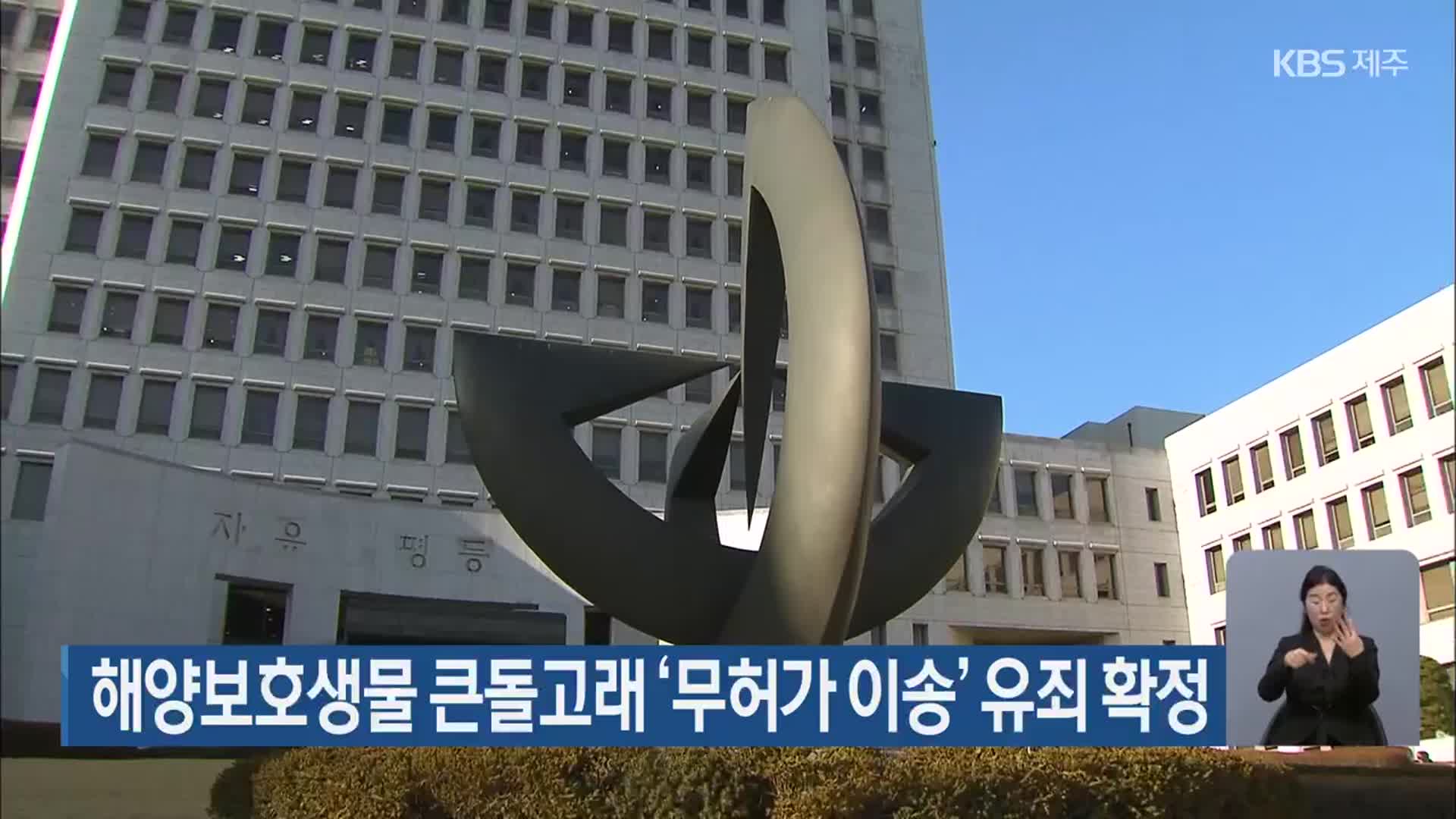 해양보호생물 큰돌고래 ‘무허가 이송’ 유죄 확정