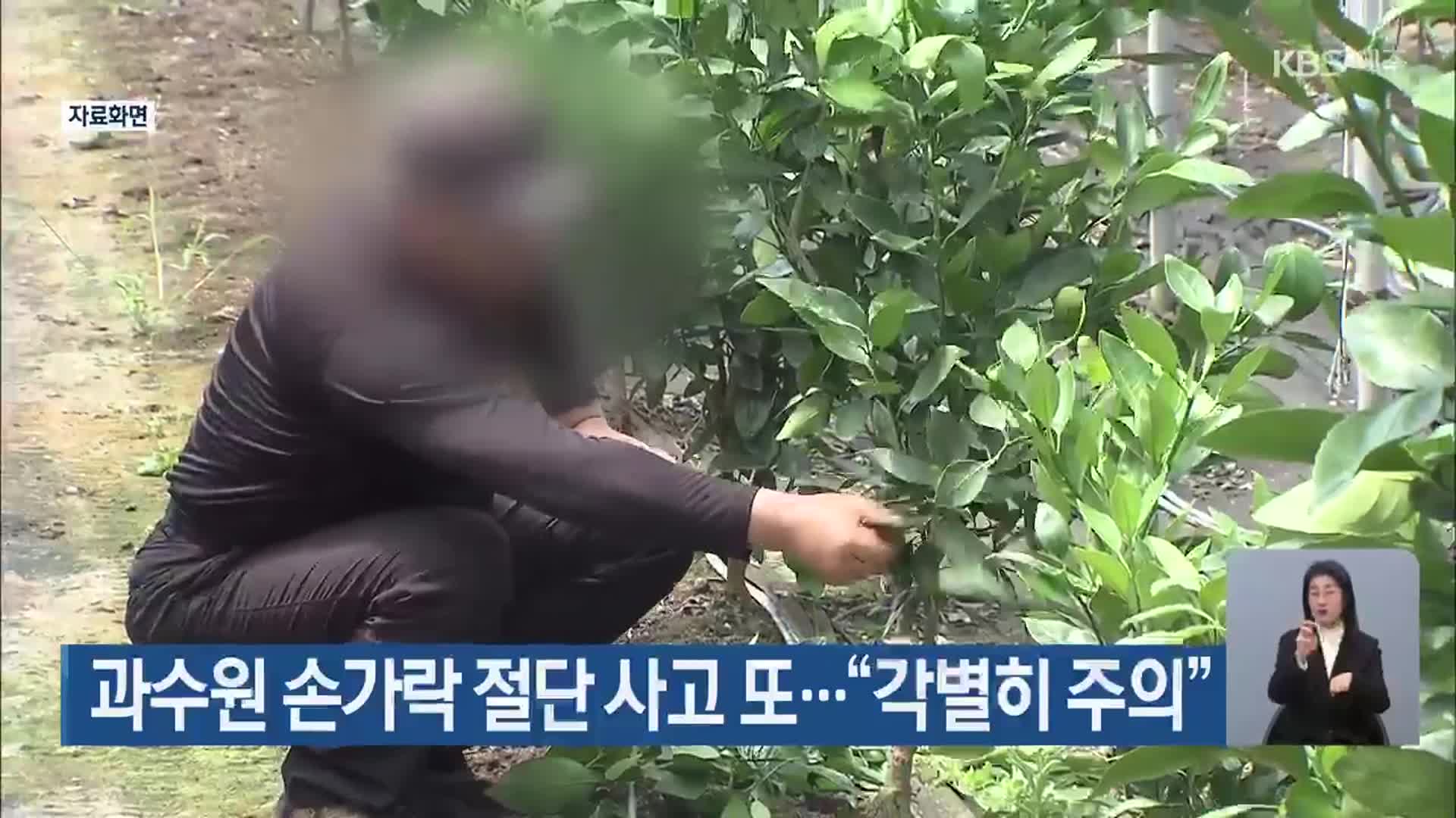 과수원 손가락 절단 사고 또…“각별히 주의”